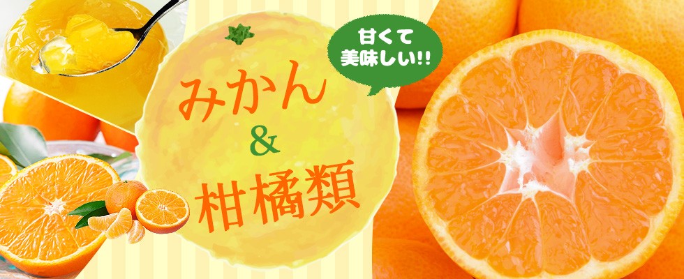 みかん＆柑橘類