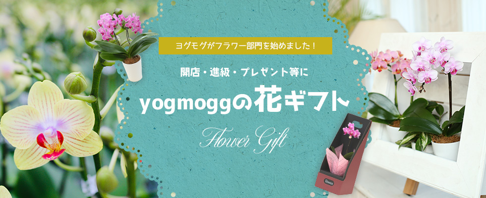yogmoggの花ギフト