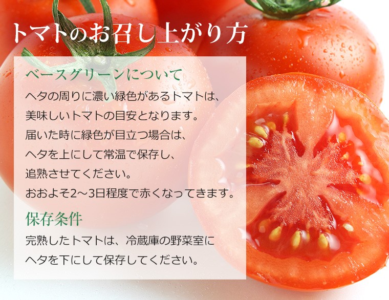 スーパーフルーツトマト 北海道産 北の極 プレミアム 約700g 8〜15玉 トマト