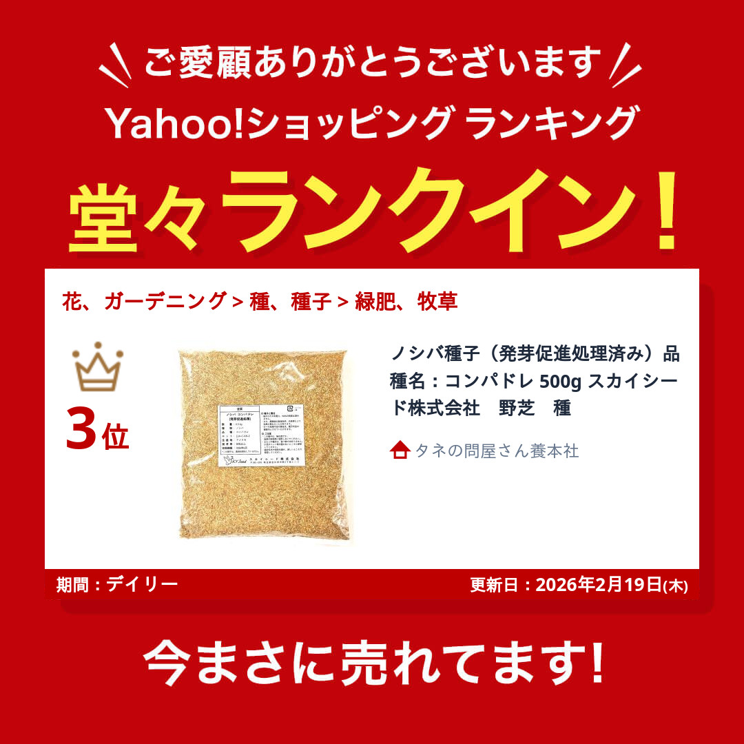 芝種子 野芝 ノシバ コンパドレ 発芽促進処理 500g スカイシード ノシバ種子（発芽促進処理済み）品種名：コンパドレ 500g スカイシード