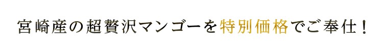 宮崎産の超贅沢マンゴーを特別価格でご奉仕!