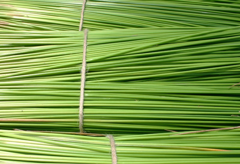 倉敷いぐさ 縄のれん 送料無料 在庫あり Imayoshi01 防災ライフステーション 通販 Yahoo ショッピング