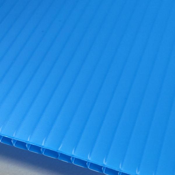 輝く高品質な プラダン 5mm 透明 プラスチック 養生ボード 床 窓 断熱 材料、資材