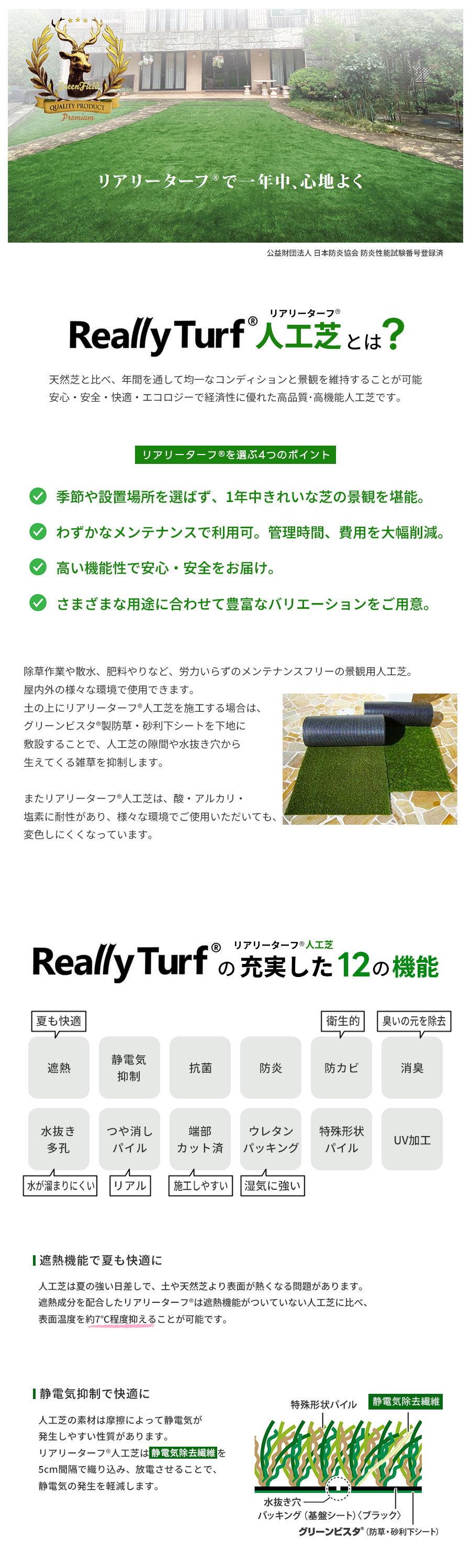グリーンフィールド リアリーターフ