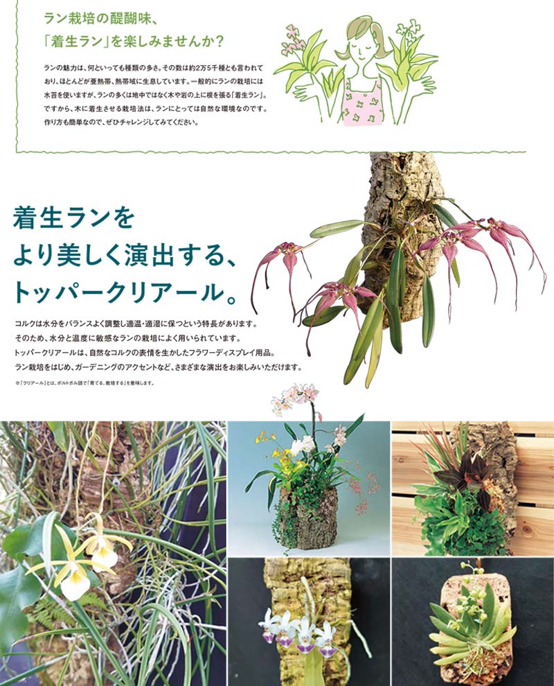 バージンコルク　チューブ　超特大 Amazon.co.jp: バージンコルクチューブ 24cm 直径60