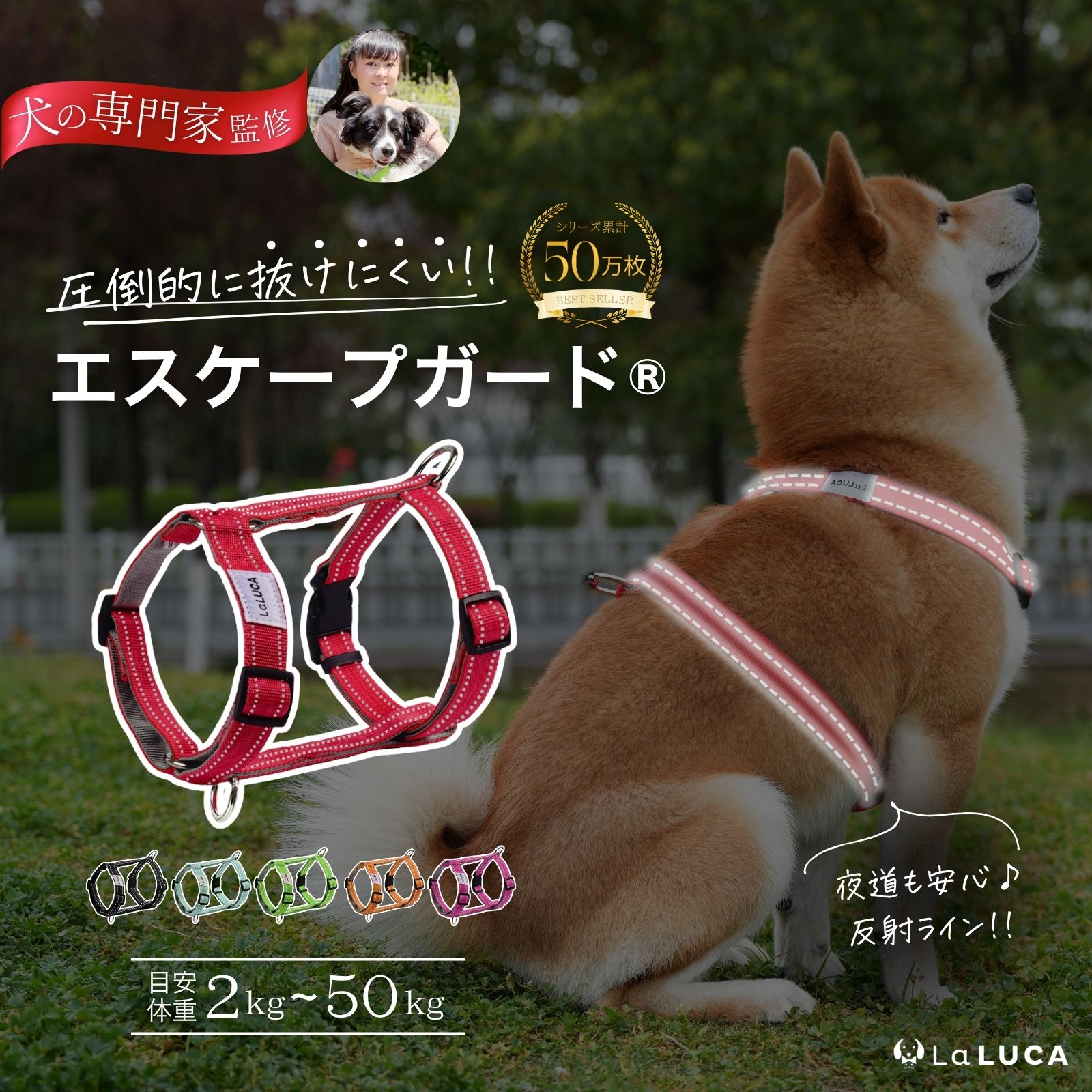 ThinkingDogs出品しているもの全て(写真に乗り切ってないです) GQrfVLbbQAAGRmH.jpg