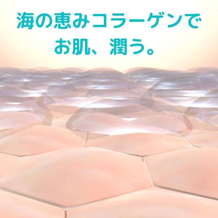 商品画像2