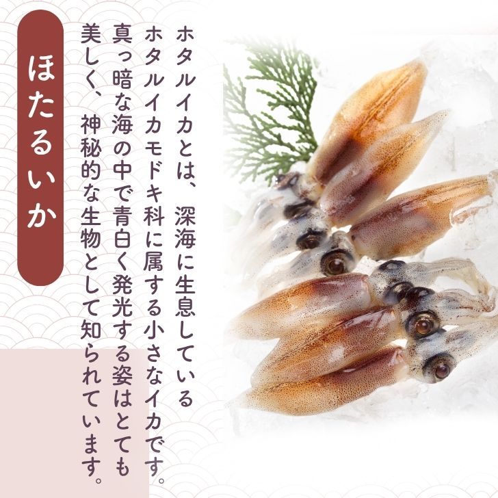 商品画像10