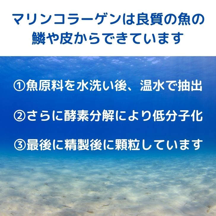 商品画像7
