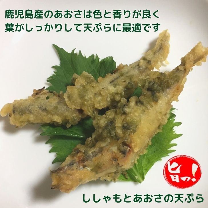 商品画像14