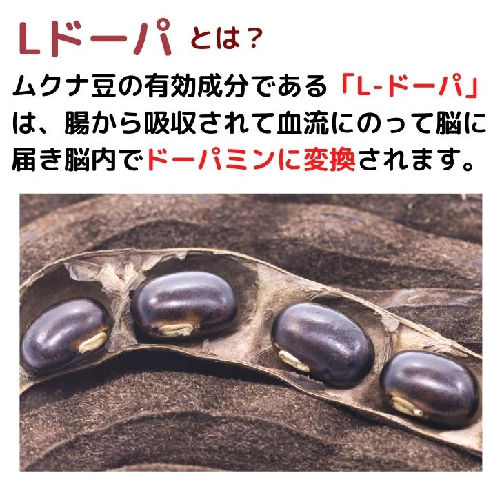 商品画像5