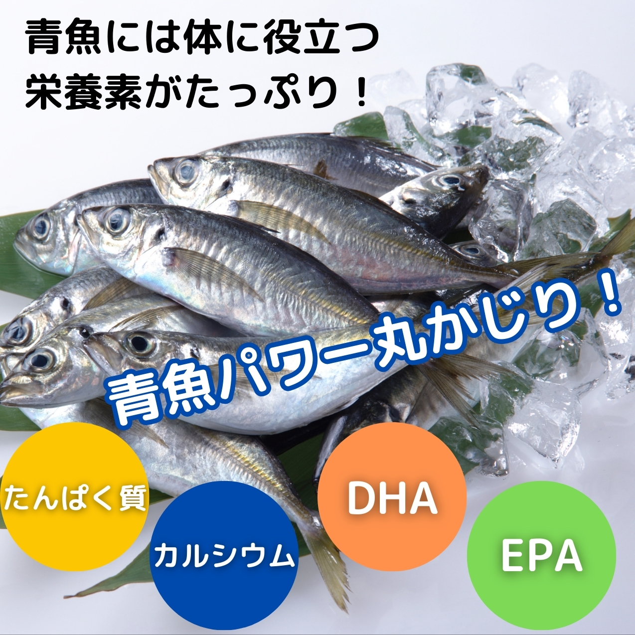 商品画像10