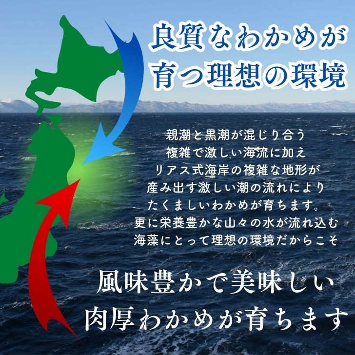 商品画像5