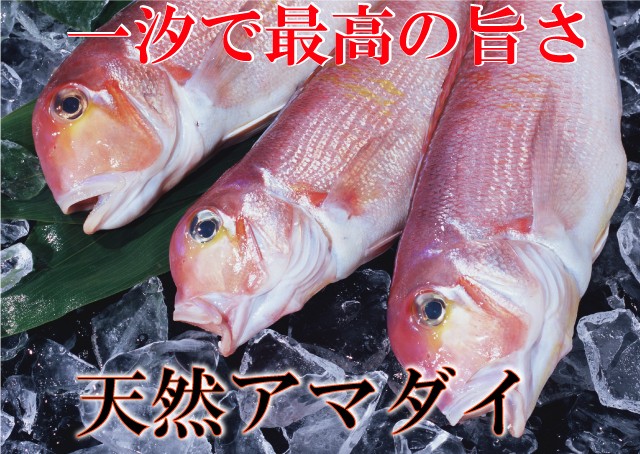 あまだい アマダイ 甘鯛