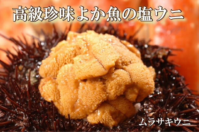 ウニ うに 塩うに