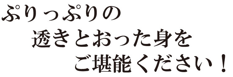 伊勢海老 いせえび イセエビ