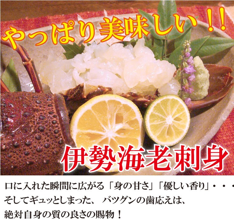 伊勢海老 いせえび イセエビ