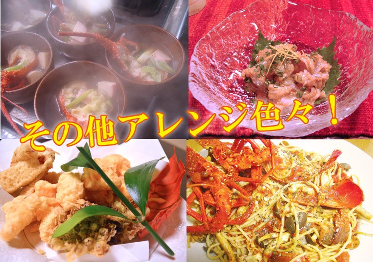 伊勢海老 いせえび イセエビ