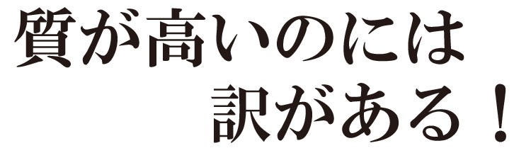 伊勢海老 いせえび イセエビ
