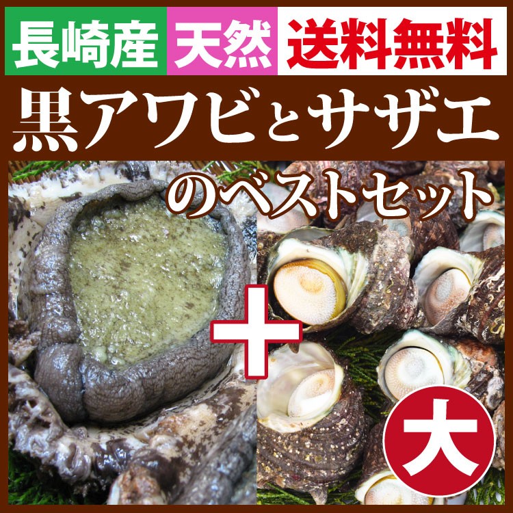 天然黒アワビと活サザエベストセット(大)よか魚イチ押し！お得！送料無料 よか鮑 黒あわび : se1 : よか魚.com - 通販 -  Yahoo!ショッピング