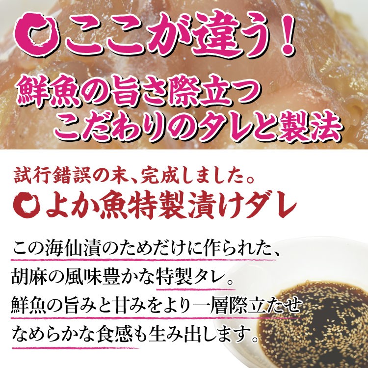 長崎 よか魚 海仙漬 クエ 鯛 ブリ 鮮魚 活かし真鯛 特製ダレ 漬け ヅケ ギフト 贈り物 母の日 父の日