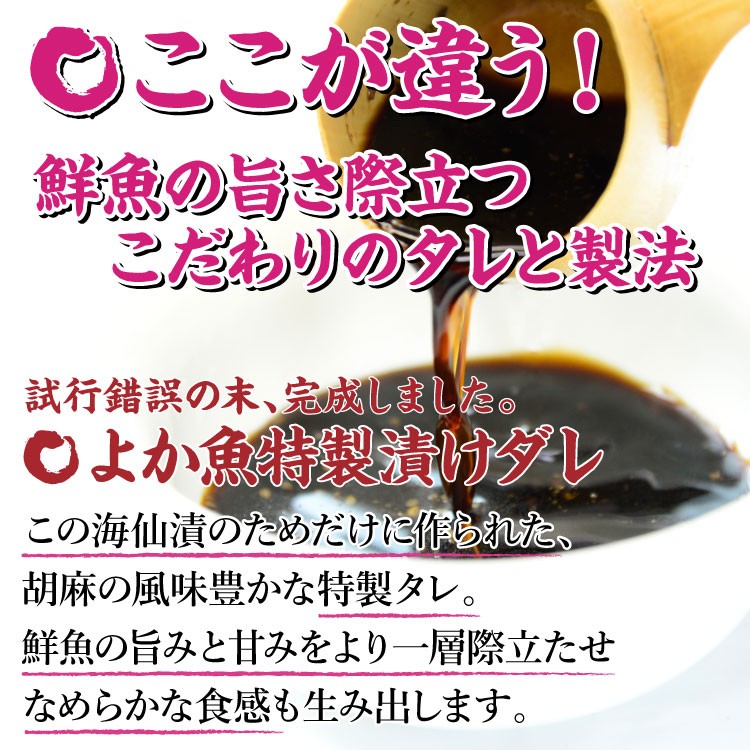 長崎 よか魚 海仙漬 クエ 鯛 ブリ 鮮魚 鯛茶漬け 活かし真鯛 特製ダレ 漬け ヅケ ギフト 贈り物 母の日 父の日