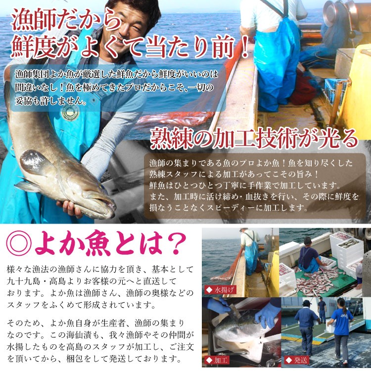 長崎 よか魚 海仙漬 クエ 鯛 ブリ 鮮魚 活かし真鯛 特製ダレ 漬け ヅケ ギフト 贈り物 母の日 父の日