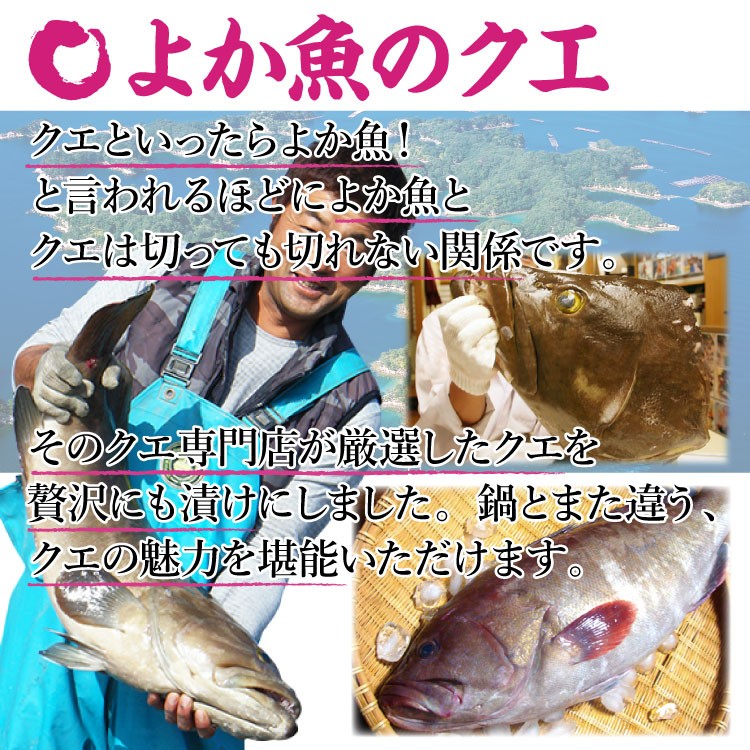長崎 よか魚 海仙漬 クエ 鯛 ブリ 鮮魚 鯛茶漬け 活かし真鯛 特製ダレ 漬け ヅケ ギフト 贈り物 母の日 父の日