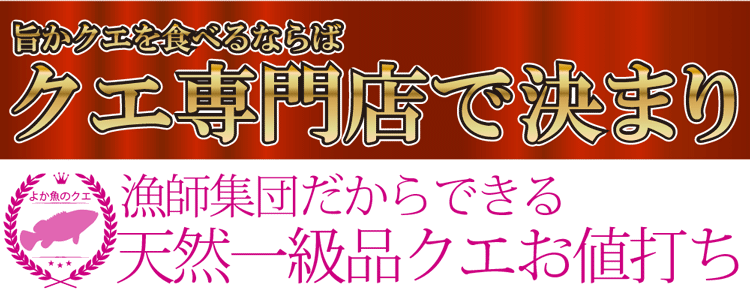 くえ 九絵 クエ 鍋 くえ（クエ）鍋　天然くえ