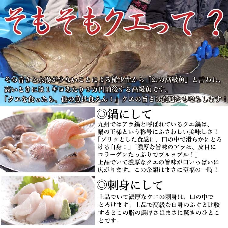 春夏絶品クエ冷しゃぶ しゃぶしゃぶ