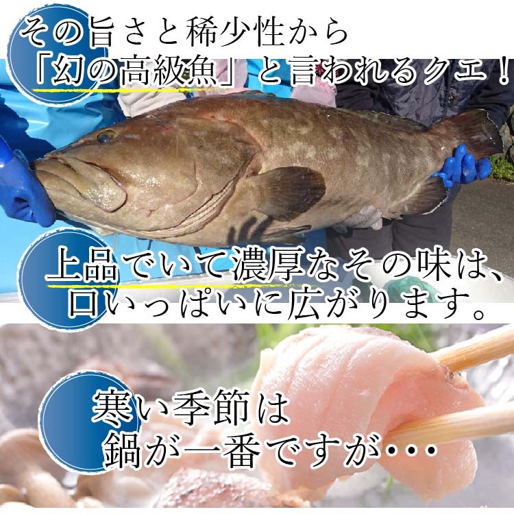 春夏絶品クエ冷しゃぶ しゃぶしゃぶ