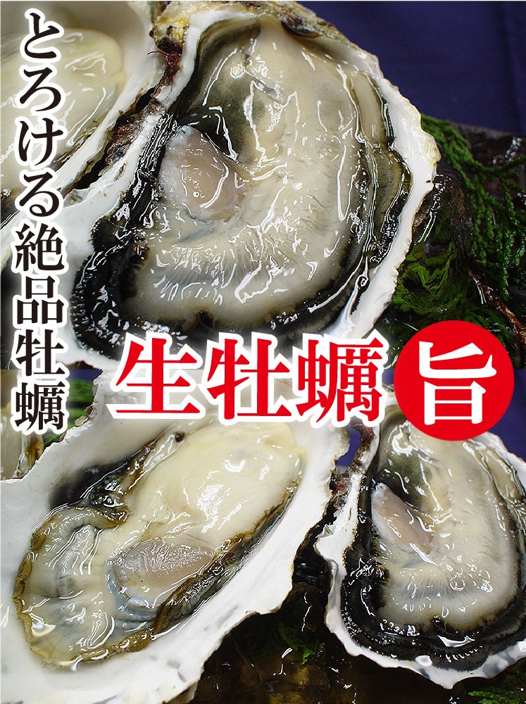 高島一年若牡蠣 真牡蠣 九十九島 かき カキ