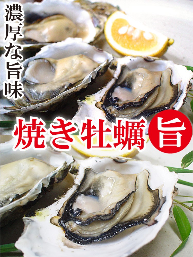 高島一年若牡蠣　真牡蠣　九十九島 かき カキ