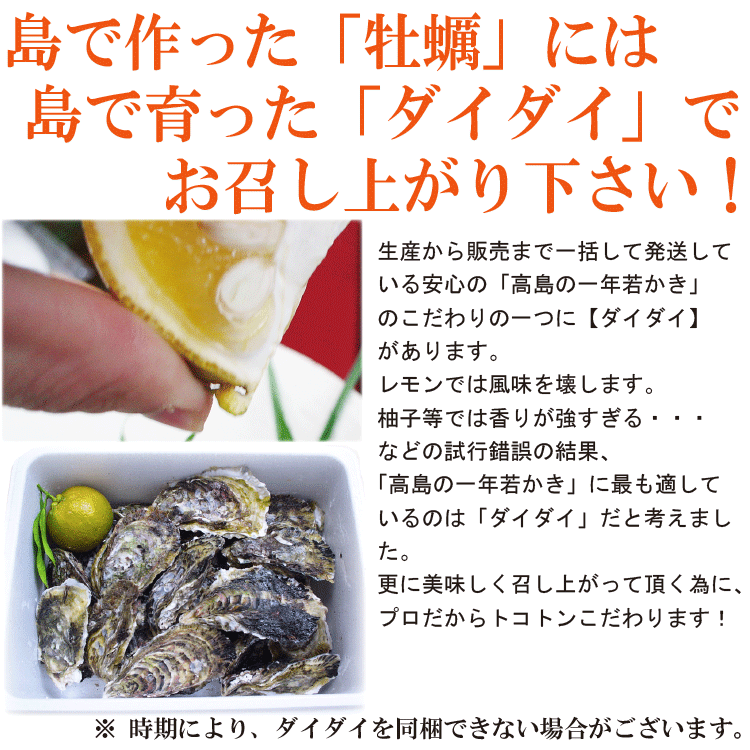 高島一年若牡蠣 真牡蠣 九十九島 かき カキ