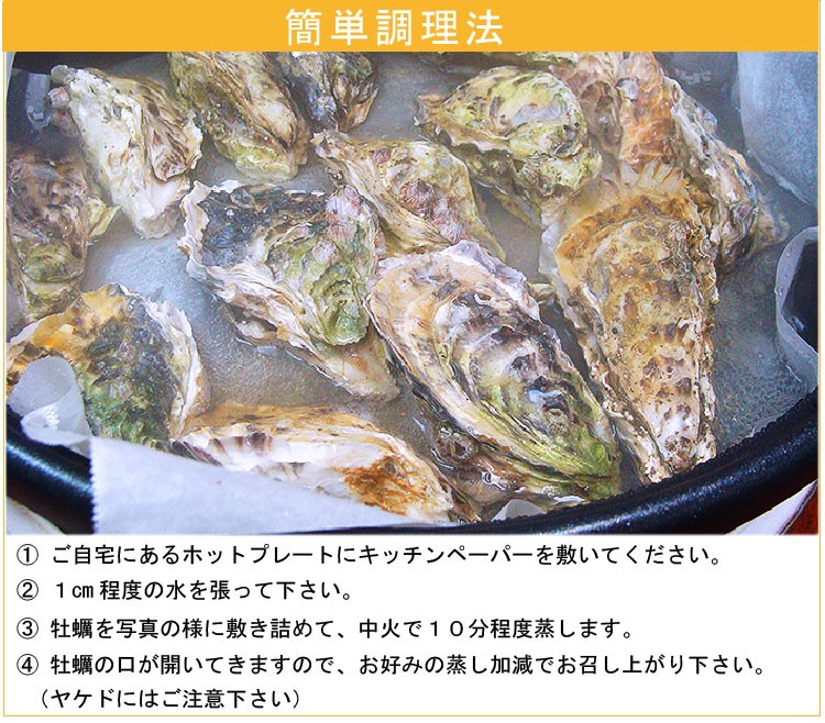 高島一年若牡蠣　真牡蠣　九十九島 かき カキ