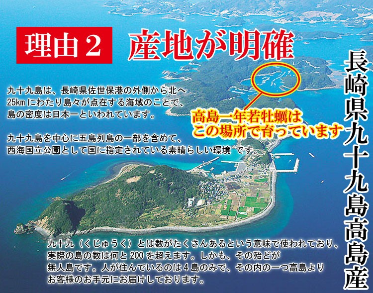 高島一年若牡蠣 真牡蠣 九十九島 かき カキ