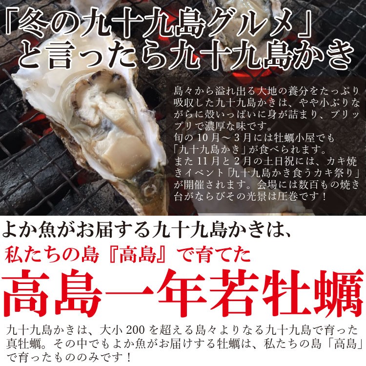 高島一年若牡蠣 真牡蠣 九十九島 かき カキ