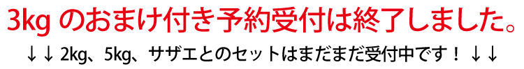 予約牡蠣500gおまけ終了