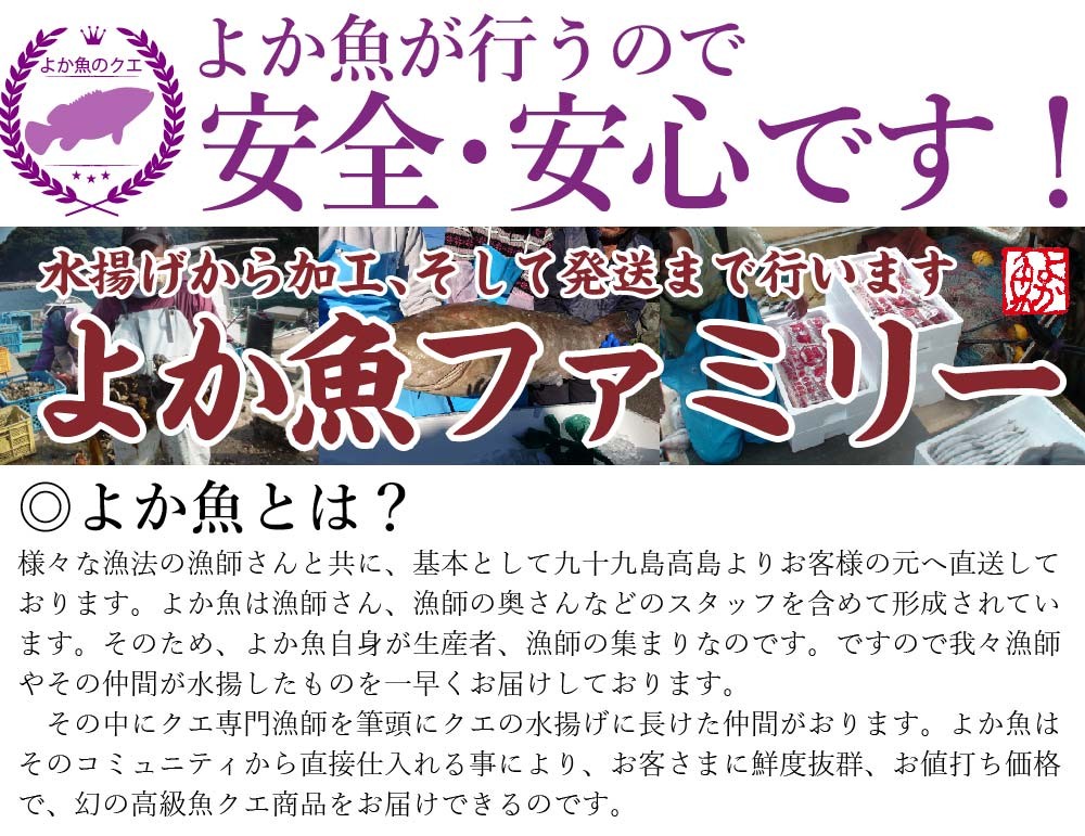 くえ くえ鍋 鯛茶漬け 茶漬け 海鮮茶漬け