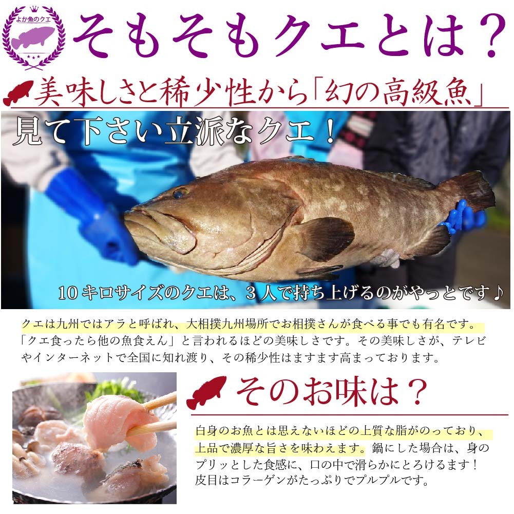 くえ くえ鍋 鯛茶漬け 茶漬け 海鮮茶漬け