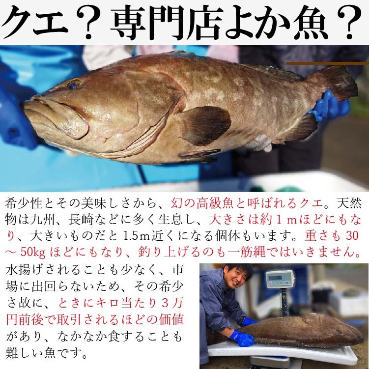 七種の海鮮鍋