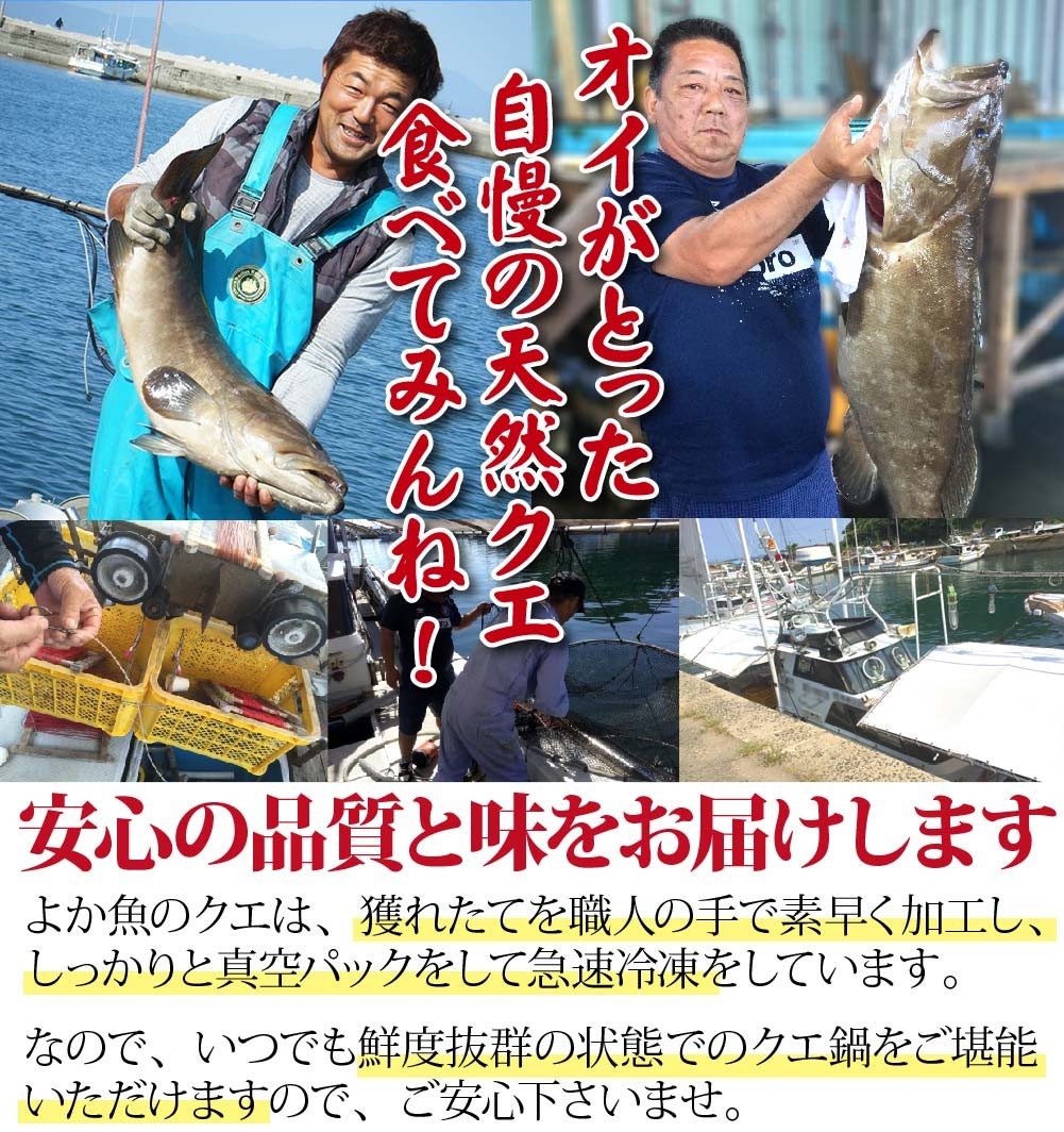 クエしゃぶ