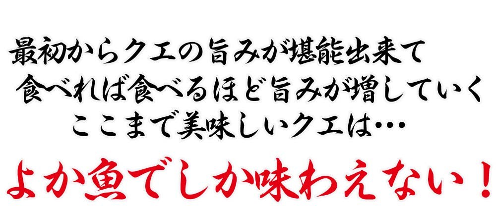 クエしゃぶ