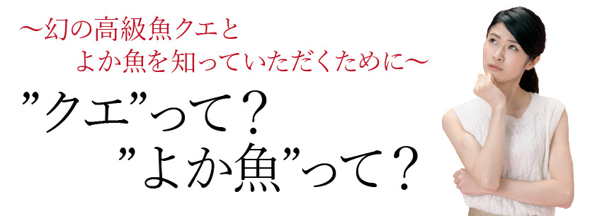 クエ専門店よか魚の長崎産天然クエ鍋はクエスープまたはクエだしの素でお召上がり頂きます