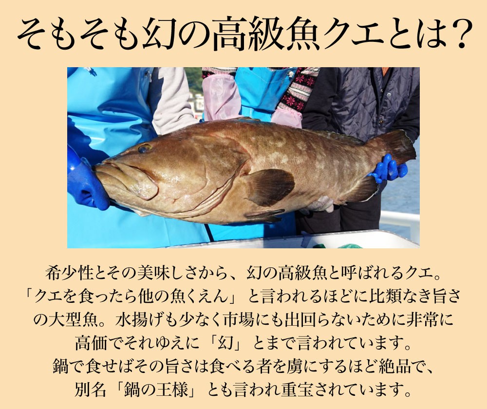 極上クエめし クエ クエだし クエスープ 真鯛 炊き込みご飯