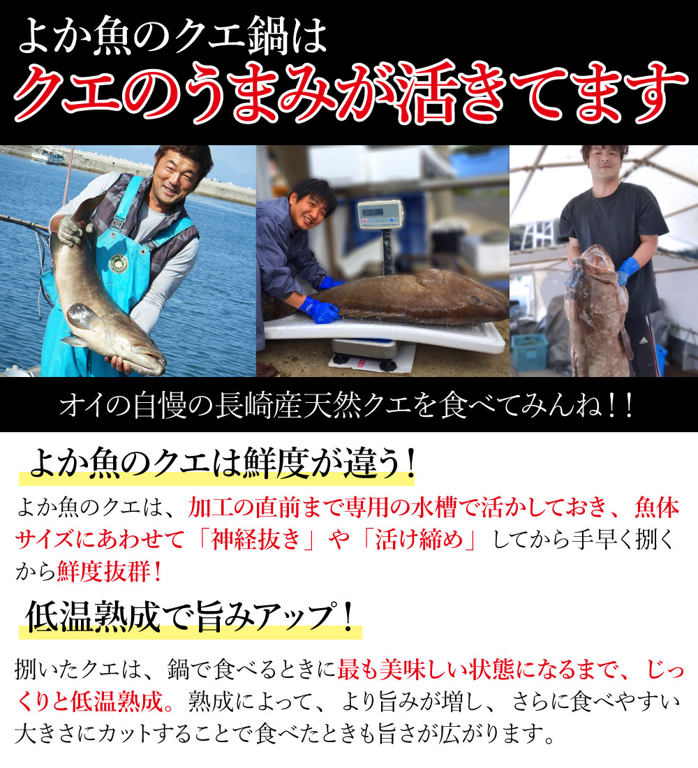 クエ専門店よか魚の長崎産天然クエ鍋はクエだしの素でお召上がり頂きます。クエスープにも変更可能！