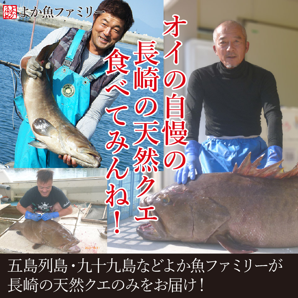 14年連続1位 長崎産天然クエ鍋2〜3人前 (クエ計550g前後 クエだし付) ギフト クエ鍋 取り寄せ クエ鍋セット 鍋セット 海鮮鍋セット お歳暮  海鮮 クエ 送料無料 :kue001:よか魚.com - 通販 - Yahoo!ショッピング