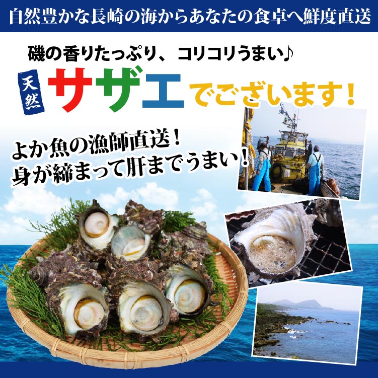 九十九島産サザエ