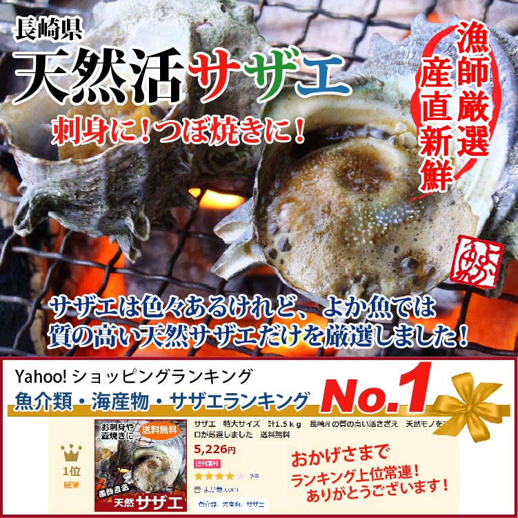 活サザエ　大サイズ5キロ前後 活サザエ 大サイズ5キロ前後