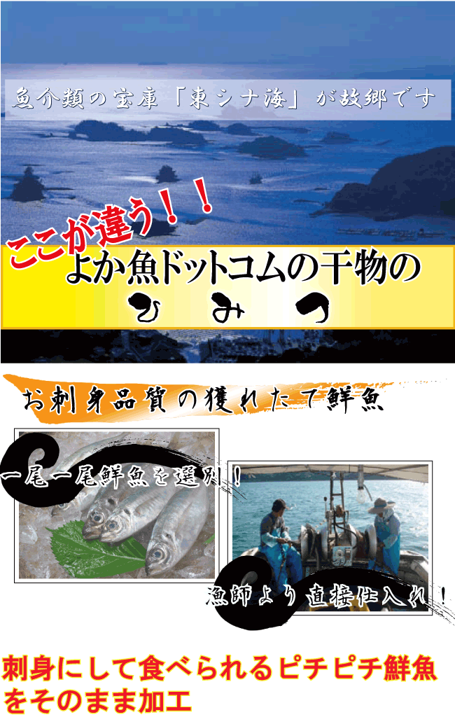 干物